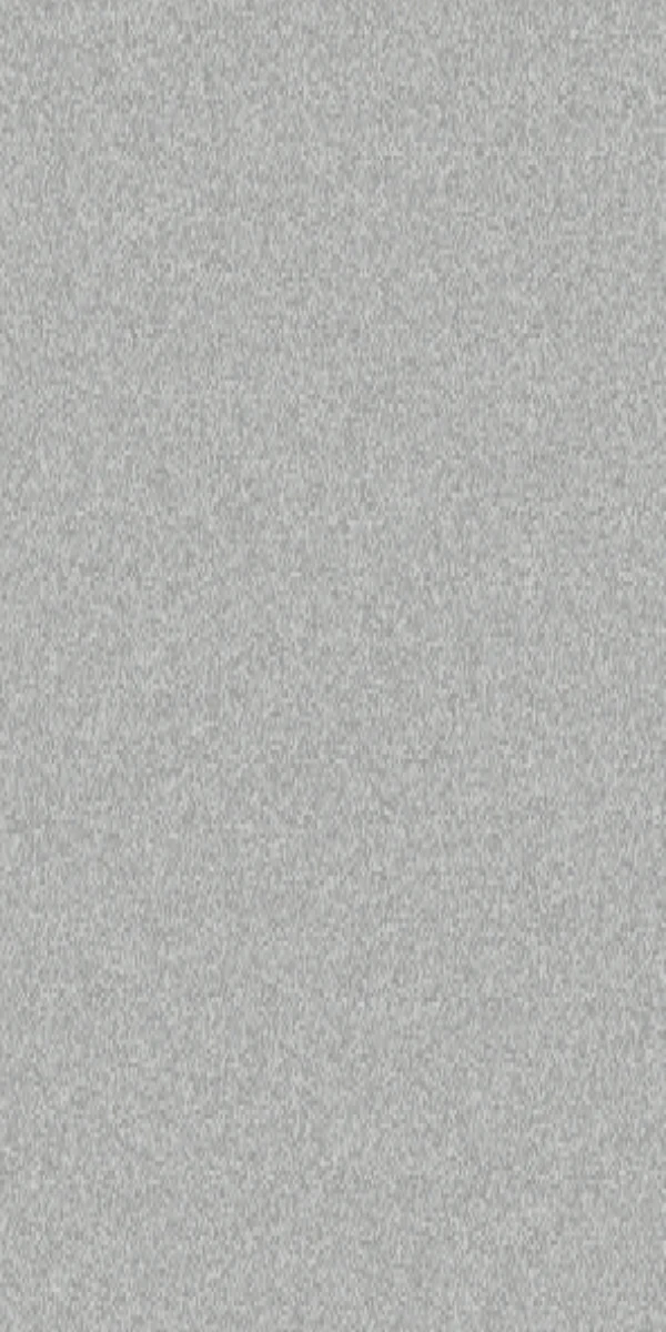 MT-01 Bright Silver