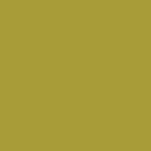 MI-51 Gold Mirror