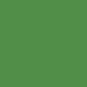 SO-54 Parrot Green